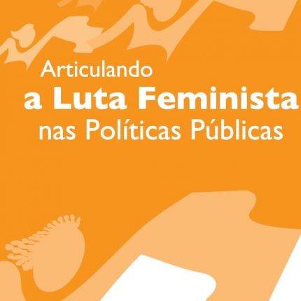 Articulando a Luta Feminista nas Políticas Públicas