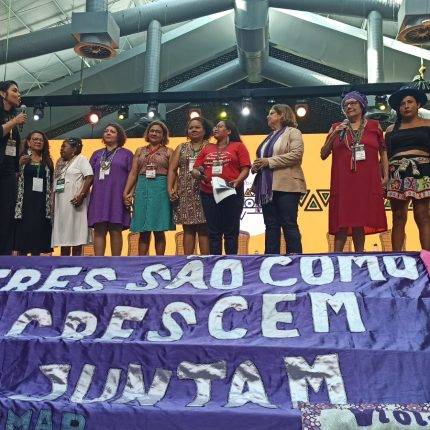Mulheres da Pan-Amazônia: Direitos, Corpos e Territórios por Justiça Socioambiental e Climática