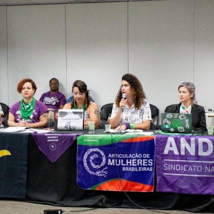 Frente Nacional tem audiência no CNDH sobre criminalização da luta pela legalização do aborto